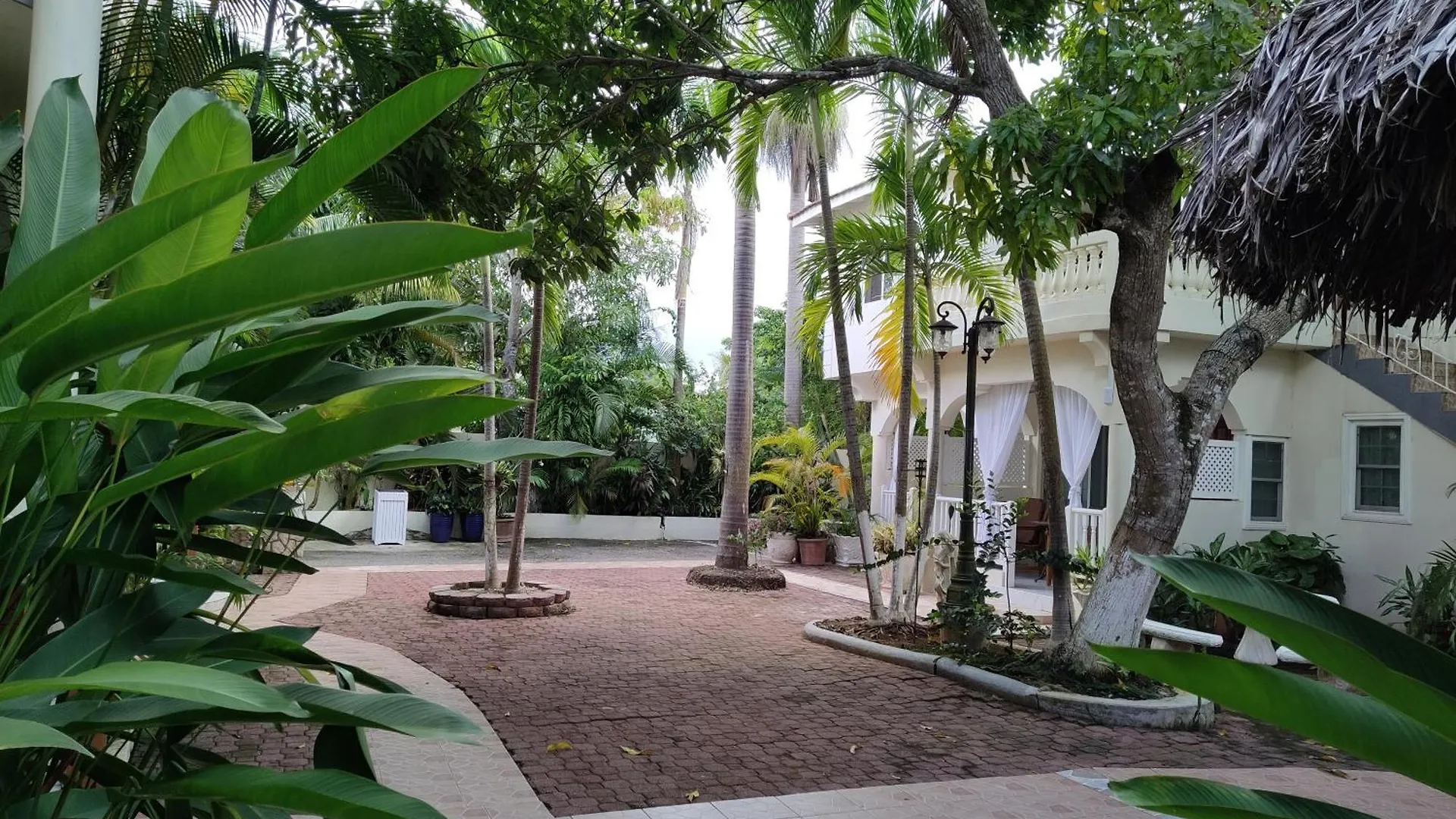 Rayon Hotel Negril
