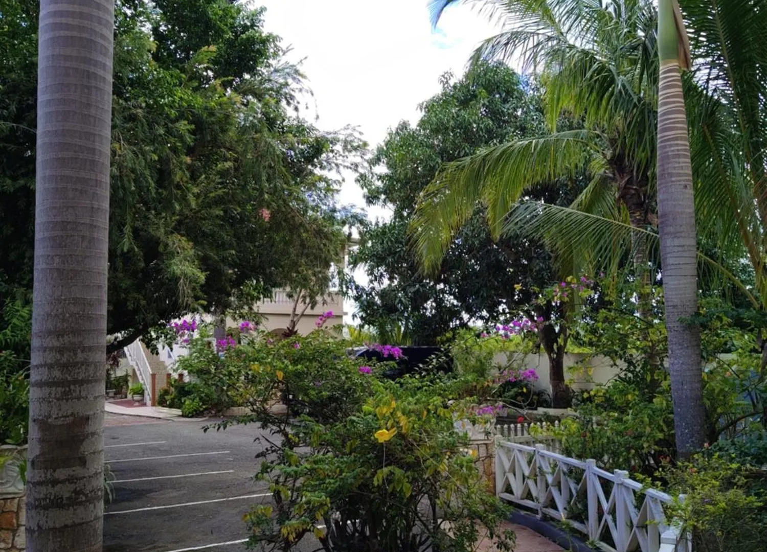 Rayon Hotel Negril